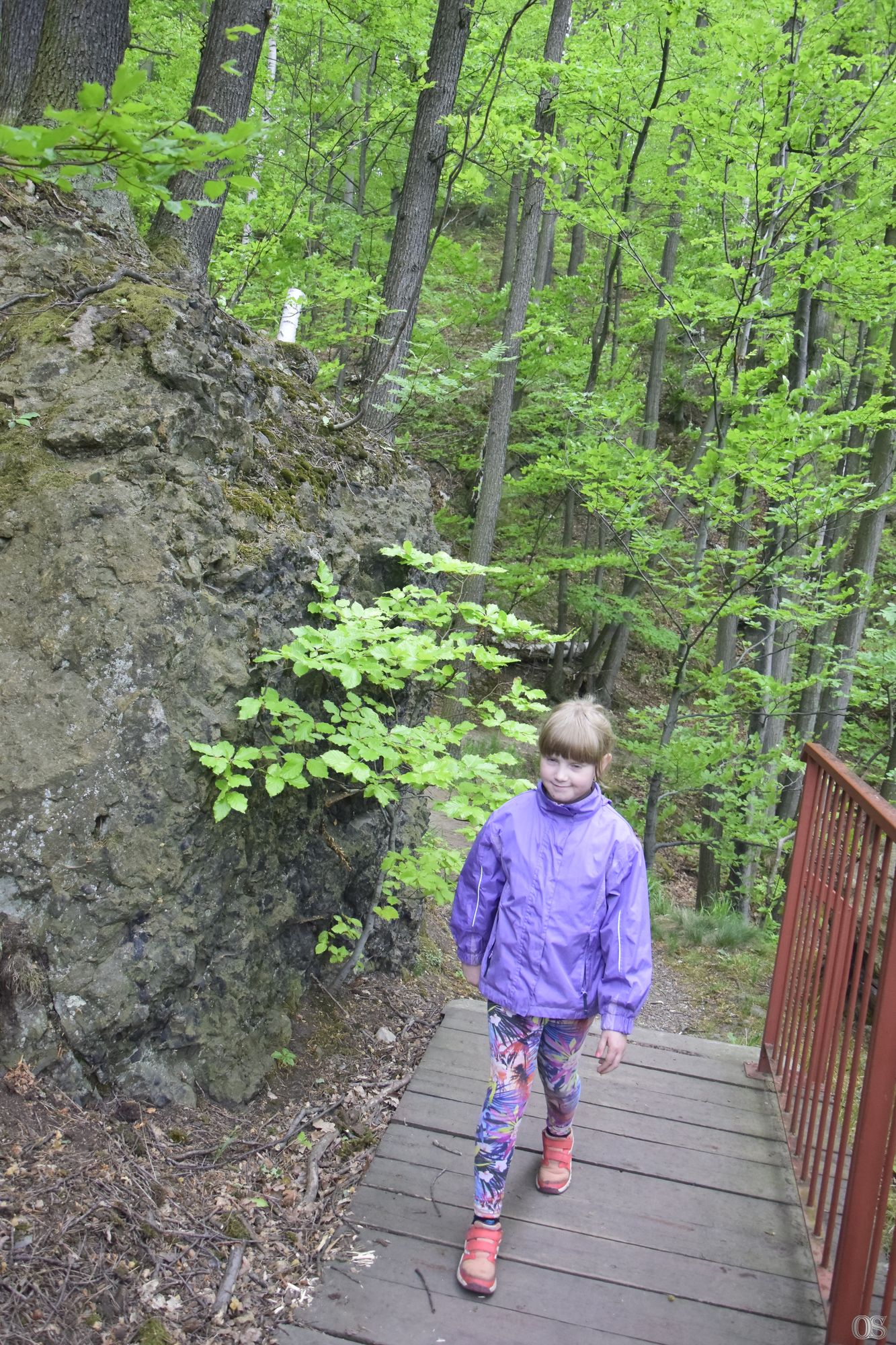 Sciezka Hochbergow 63.jpg